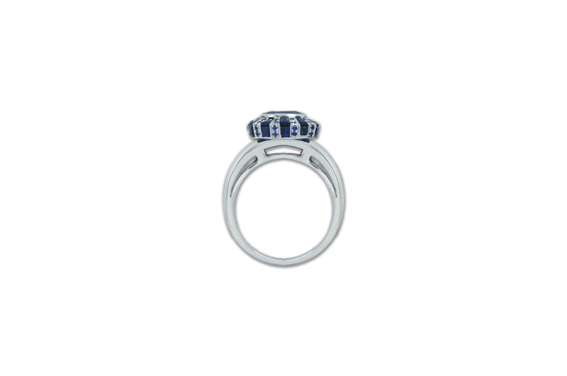 Classic 75 Twist Oval Blue Sapphire Ring set in White Gold